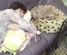 なかよし