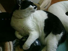 20050406124115.jpg