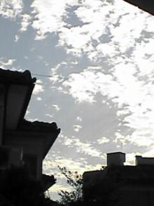 061008_1612~01.jpg