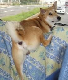 なんちゅ~格好をw