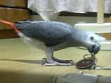 key