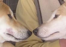 どっちだ?