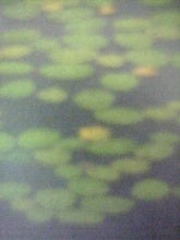 05-06-28_00-16.jpg