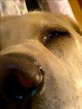 061010_2347~0001-0001-0001.jpg