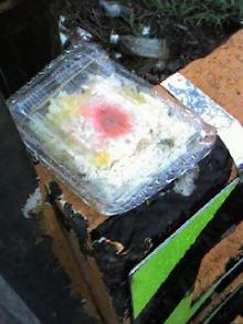 弁当。.jpg