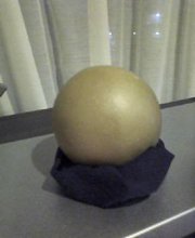 NEC_0009.jpg
