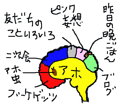 アホマミ姉の脳みその様子