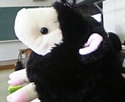 060614_125845.jpg