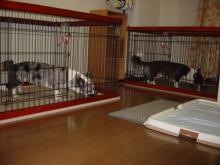 やっと食事に・・。