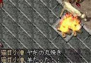 羊