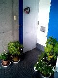 050927_1331~0001.JPG