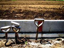 20050414_shovel.