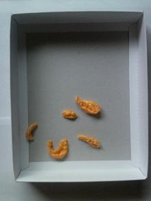 ガム製芸術作品