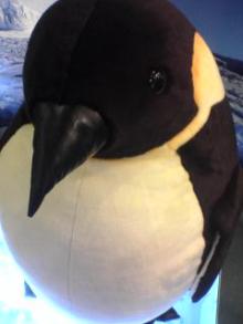 penguin