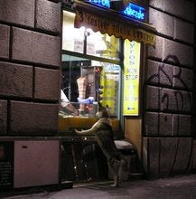 いぬ