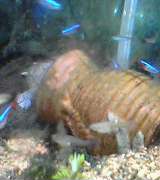 050424-2222.jpg