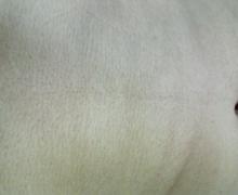 おなか