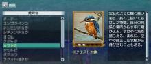 カワセミ