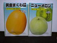 瓜のパッケージ