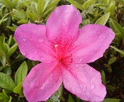 200605091642000.jpg