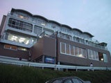 一本桜