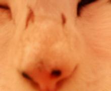 200610022322000.jpg