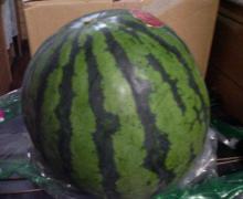 200607022300000.jpg