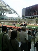 阪神競馬場のパドック