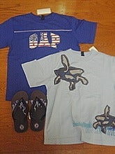 GAP1