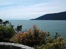whytecliff