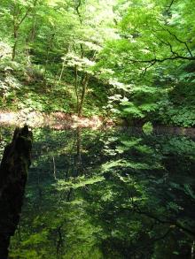 青池