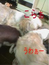 こらぁ