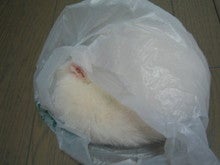 袋の中①
