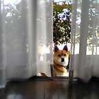 ちらっ