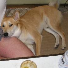 ( ゚ ▽ ゚ ;)エッ!!