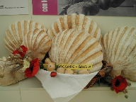 pane