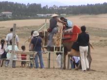 日記/鳥取オフ キャメルスラッグ（違）