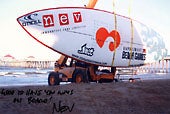 nev01