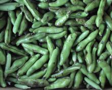 段ボール一箱の空豆