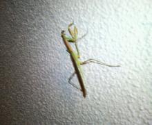 200609161838000.jpg