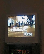 20050504163456.jpg