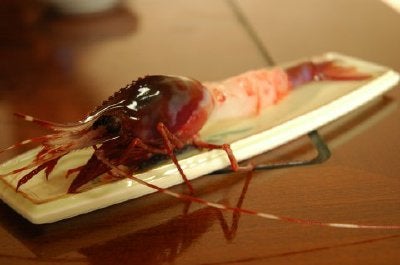 北海道羅臼、2006年8月24日