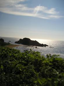 海