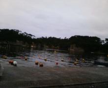 200607081635000.jpg