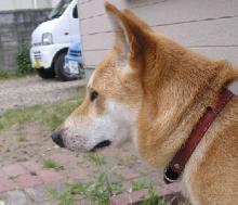 見つめる先には・・