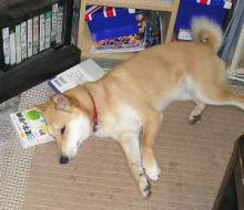 辞書は感じがいいww