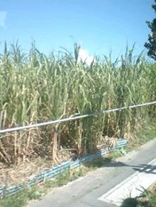 061021_1220~0001.jpg