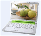 img6[1].gif