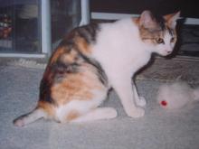 hana