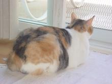 ハナ